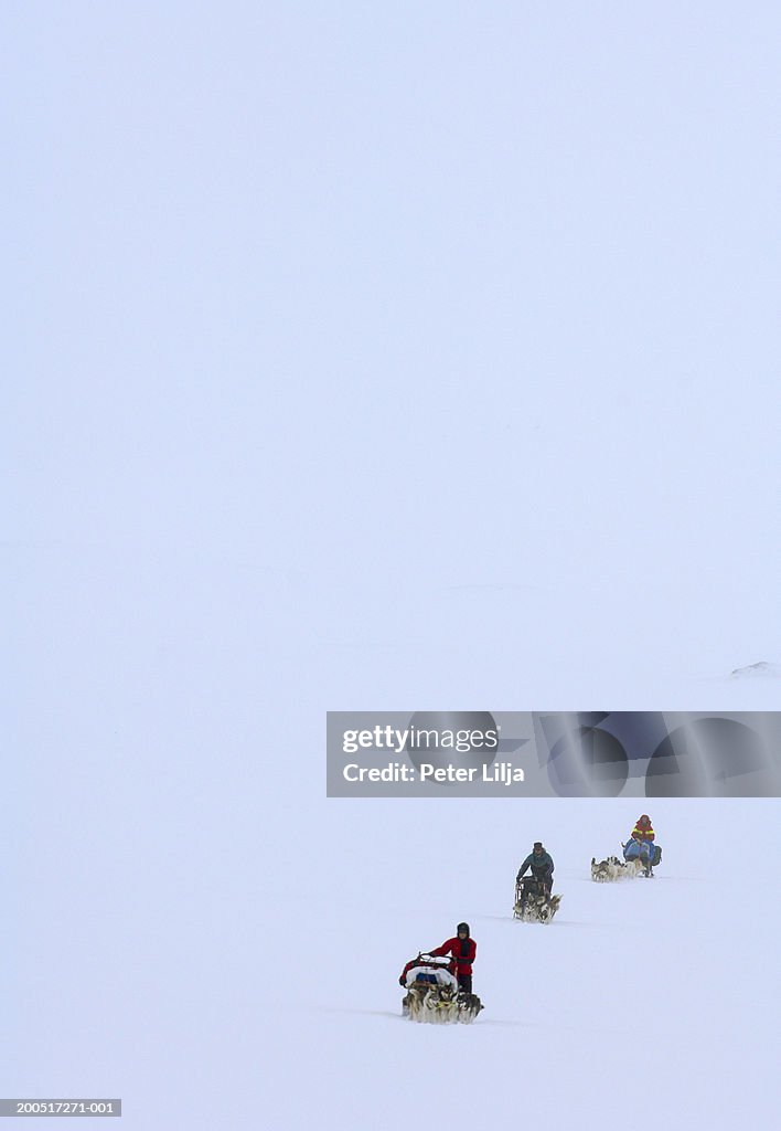 Sweden, Lapland, Kebnekaise, three dog sleds in snowy landscape