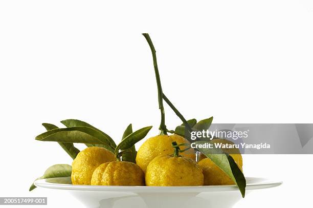 lemons in bowl - yuzu photos et images de collection