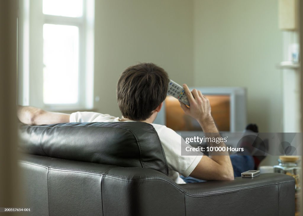 Young man sitting on sofa watching television, rear view