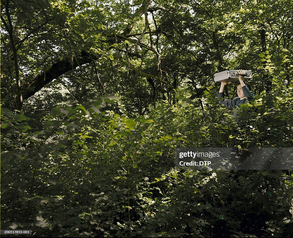 Businessman emerging from bushes, carrying briefcase above head