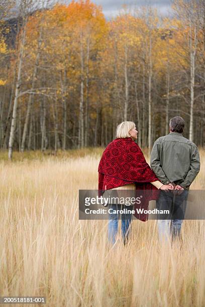 mature man and woman walking through tall grass, autumn, rear view - ketchum idaho stock-fotos und bilder