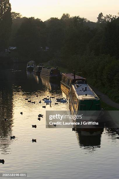 uk, england, warrington, lymm, barges on canal at sunset - wt1 stock pictures, royalty-free photos & images