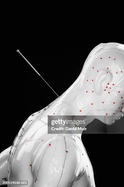 acupuncture model with needle, against black background, close-up - acupuncture needle stock pictures, royalty-free photos & images