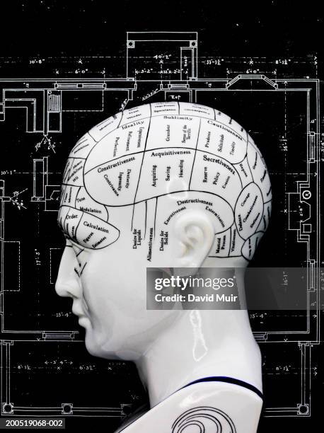 phrenology head on blue prints (digital composite) - phrenologie stock-fotos und bilder