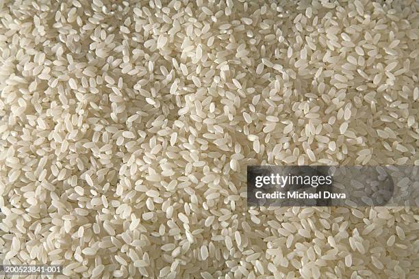 Michael A Rice Photos and Premium High Res Pictures - Getty Images