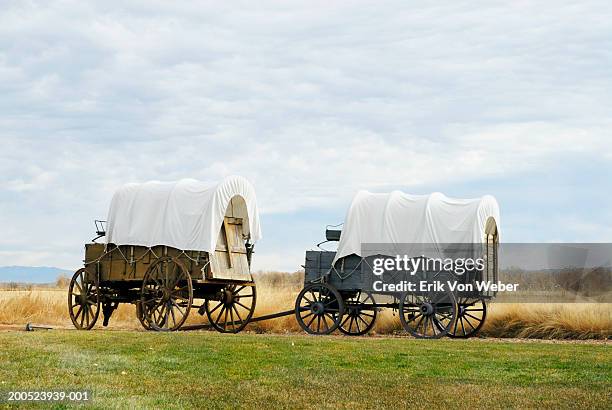 covered wagons on dirt road in prairie - horsedrawn bildbanksfoton och bilder