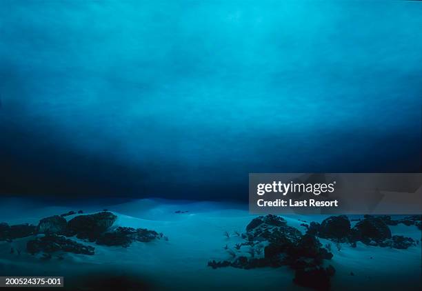 underwater terrain - sott'acqua foto e immagini stock
