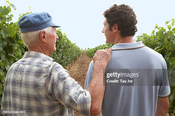 senior father and son standing in vine terrace, rear view - wavy hair man stock pictures, royalty-free photos & images