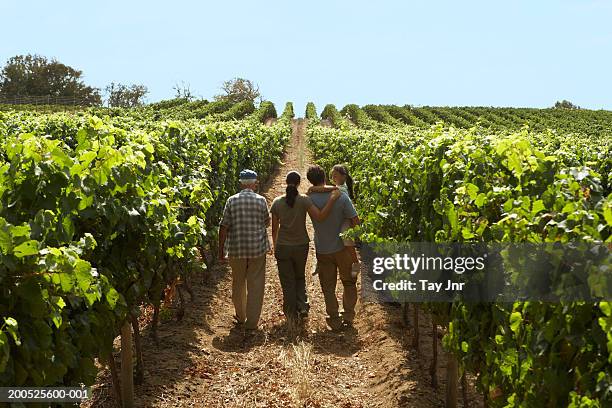 four generational family walking in vine terrace, rear view - farming family stock pictures, royalty-free photos & images
