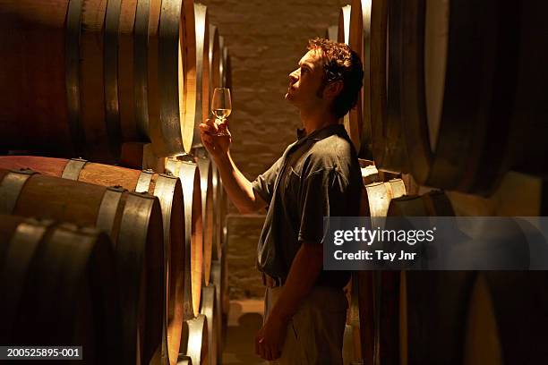 young man tasting wine in cellar - viticulture fotografías e imágenes de stock