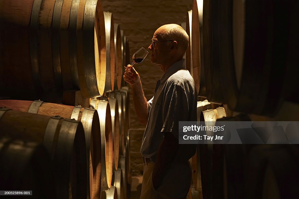 Mature man tasting wine in cellar, side view