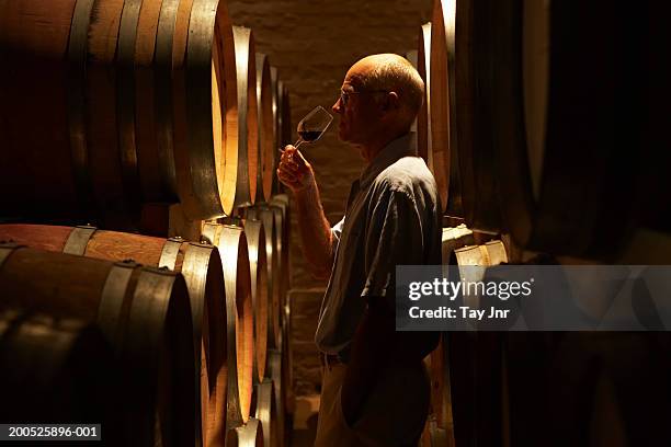 mature man tasting wine in cellar, side view - ワインセラー ストックフォトと画像