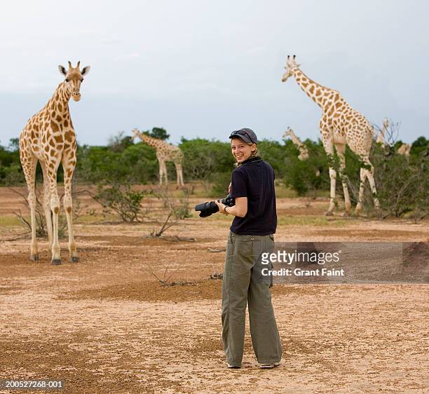niger, naimey, woman photographing giraffes - photographing wildlife stock pictures, royalty-free photos & images