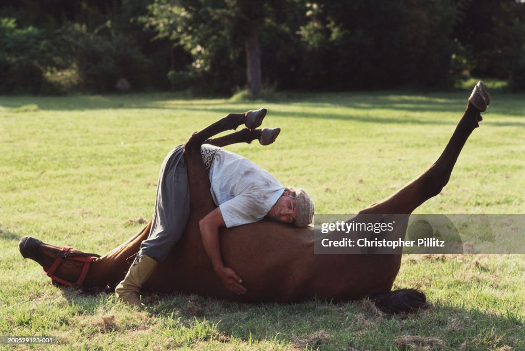 Argentina, gaucho embracing horse rolling in field...