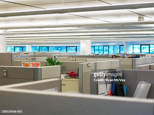 cubicles in office - divisão de escritório imagens e fotografias de stock
