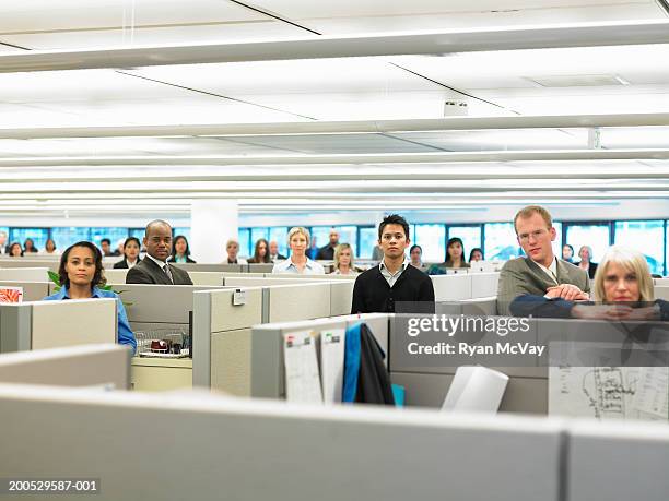 group of executives standing in cubicles, portrait - cube fotografías e imágenes de stock