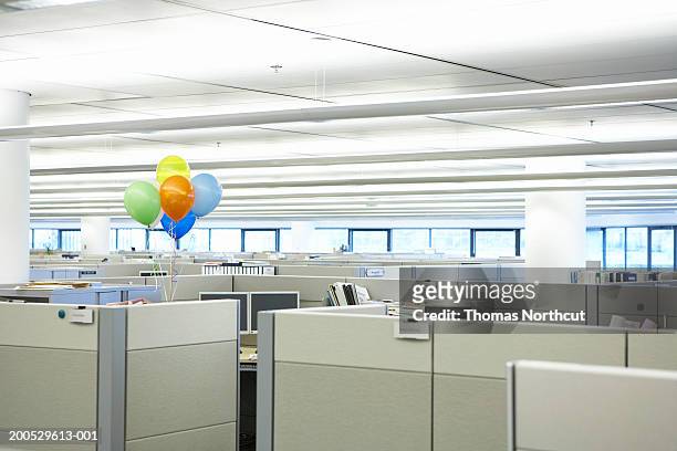 bunch of balloons amidst cubicles in office - office cubicle stock-fotos und bilder