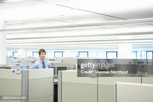 Young businessman standing in cubicle, portrait Young businessman standing in cubicle, portrait