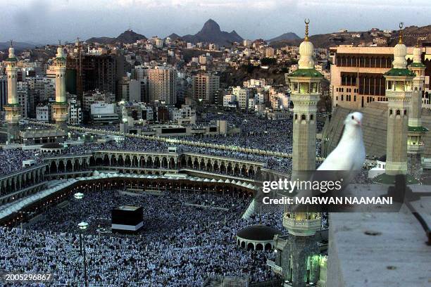 Muslim pilgrims pray around the holy Qabba in Mecca 27 February 2001. Close to 1.3 million foreigners have arrived in Saudi Arabia for the annual...