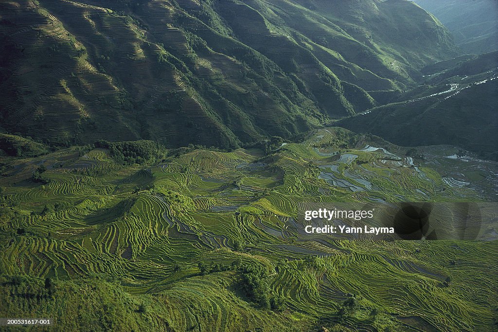 China, Yuanyang (Yunnan) rice terraces, elevated view
