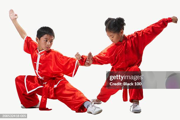 boy and girl (9-12) practicing wushu - the cheongsam stock pictures, royalty-free photos & images