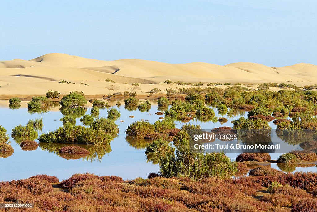 Morocco, Lagune de Khnifiss