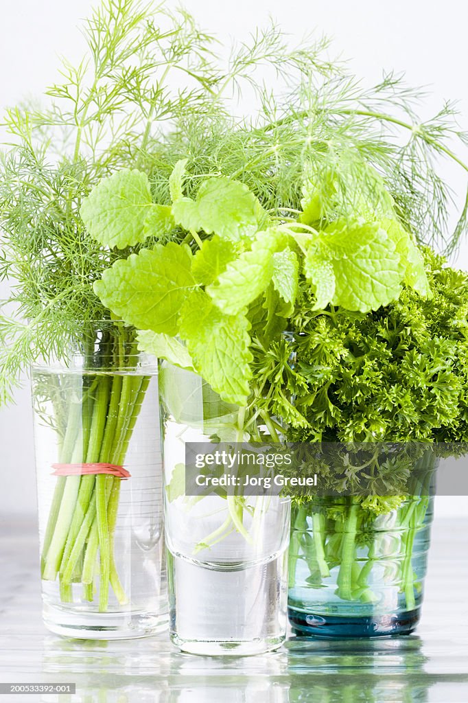 Glasses with dill, lemon balm, parsley