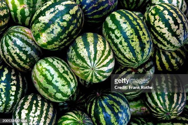 heap of watermelons, close-up - wassermelone stock-fotos und bilder