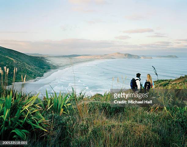 new zealand, cape reinga, couple standing on coast, rear view - de kust stockfoto's en -beelden