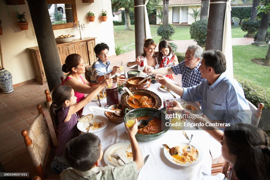 Grandparents, parents and children (7-15) toasting at dinner