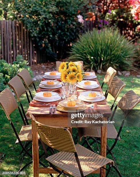 table setting in backyard - garden brunch stock pictures, royalty-free photos & images