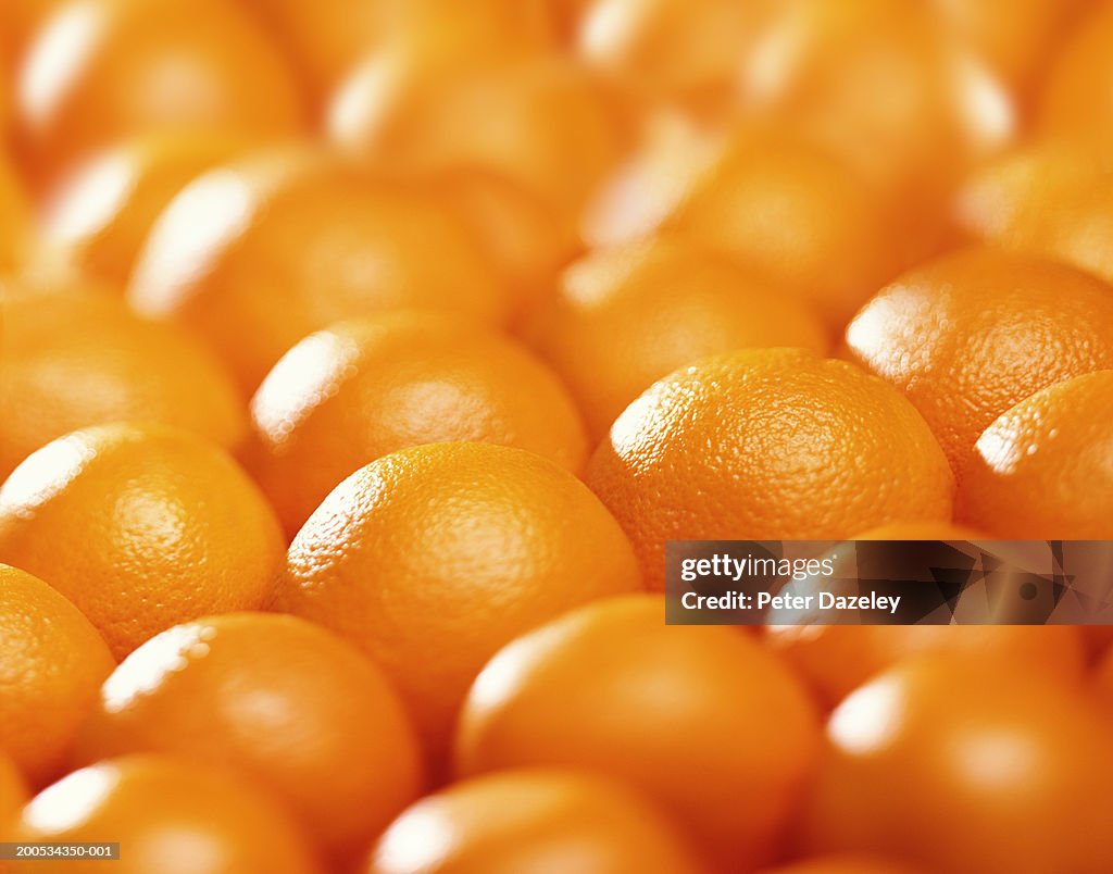 Oranges, full frame