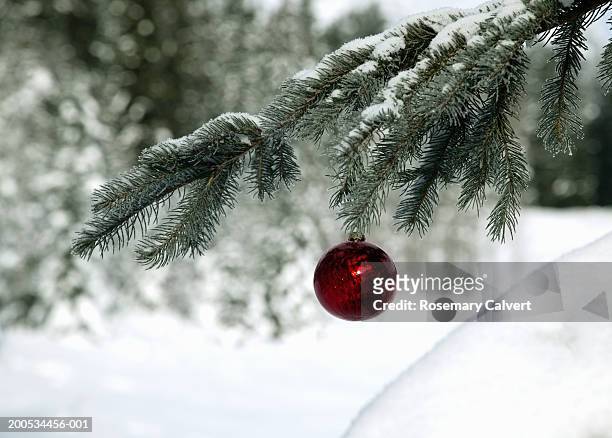 christmas baubles hanging from snow covered fir tree, outdoors - christmas loneliness stock pictures, royalty-free photos & images