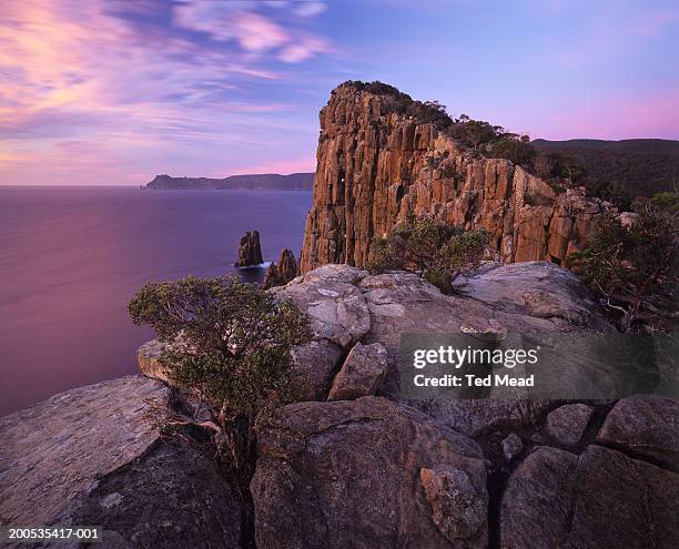 australia, tasmania, tasman national park, cliffs at cape huay, dawn - tasman stock pictures, royalty-free photos & images