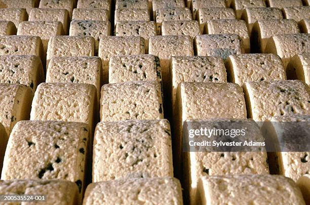 rows of aging roquefort cheese - roquefort cheese ストックフォトと画像