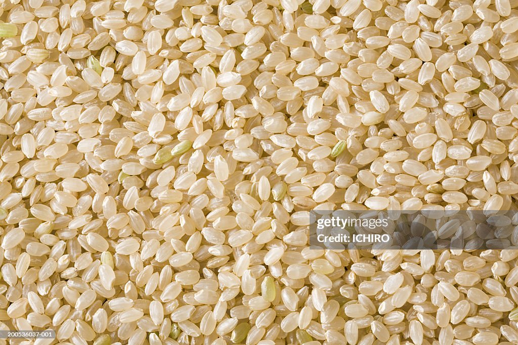 Genmai, unmilled brown rice, full frame