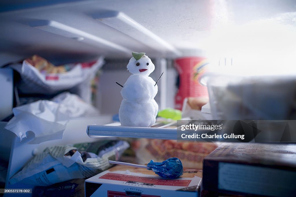 Miniature snowman in freezer (focus on snowman)