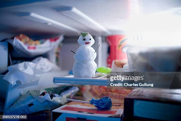miniature snowman in freezer (focus on snowman) - frys bildbanksfoton och bilder
