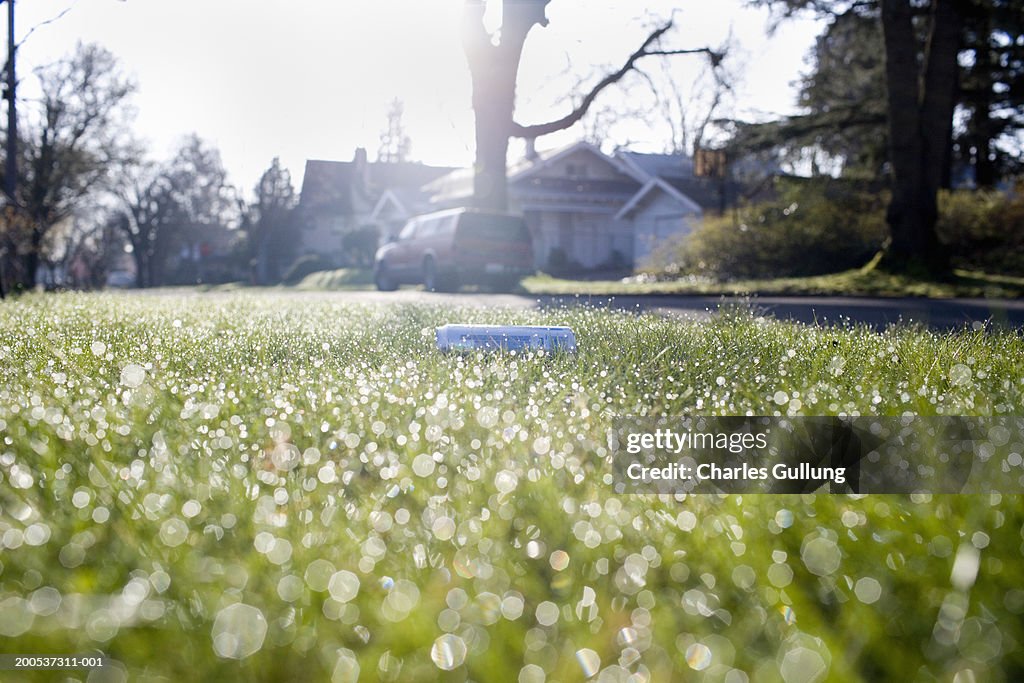 Aluminum can on lawn, ground view