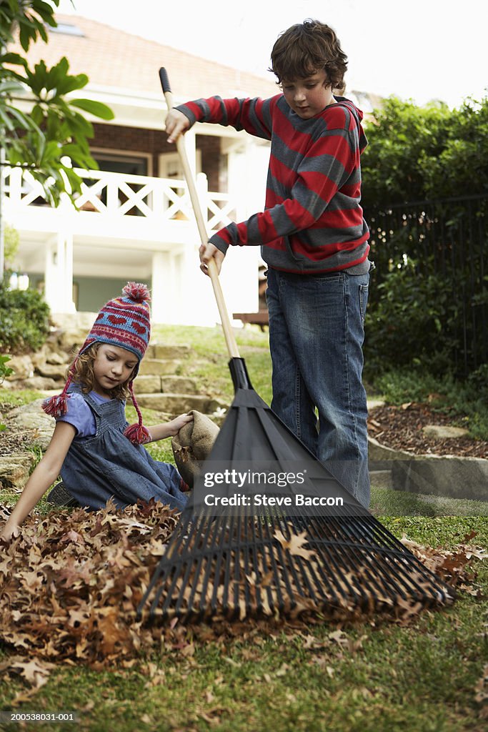 Boy and girl (6-10) in garden raking leaves