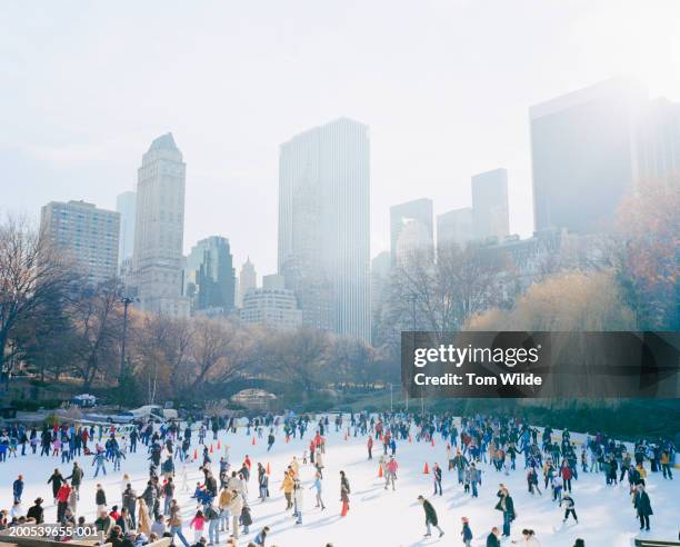 usa, new york, central park, people on ice skating rink, elevated view - アイススケート ストックフォトと画像