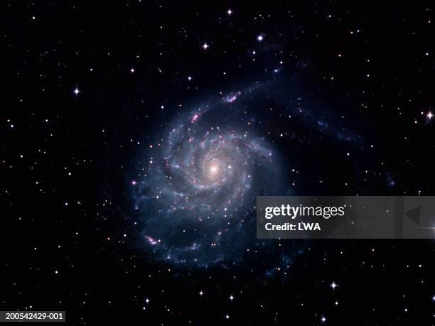 spiral galaxy (m101) - spiralgalaxie stock-fotos und bilder