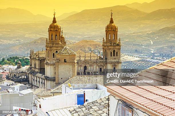 spain, andalucia, jaen, cathedral, elevated view - jaén foto e immagini stock