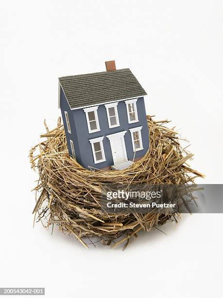 model house in bird's nest (digital composite) - hausmodell stock-fotos und bilder