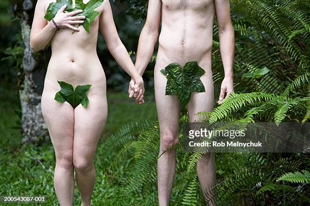 naked man and woman with leaves covering genitals, mid section - adam eva bildbanksfoton och bilder