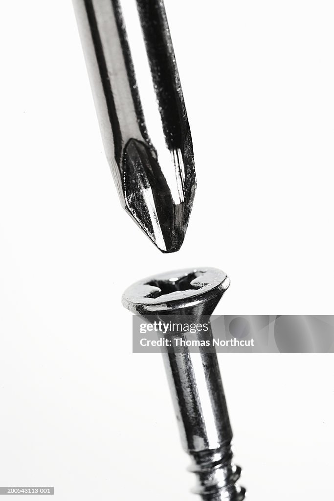 Phillips-head screw and screwdriver, close-up