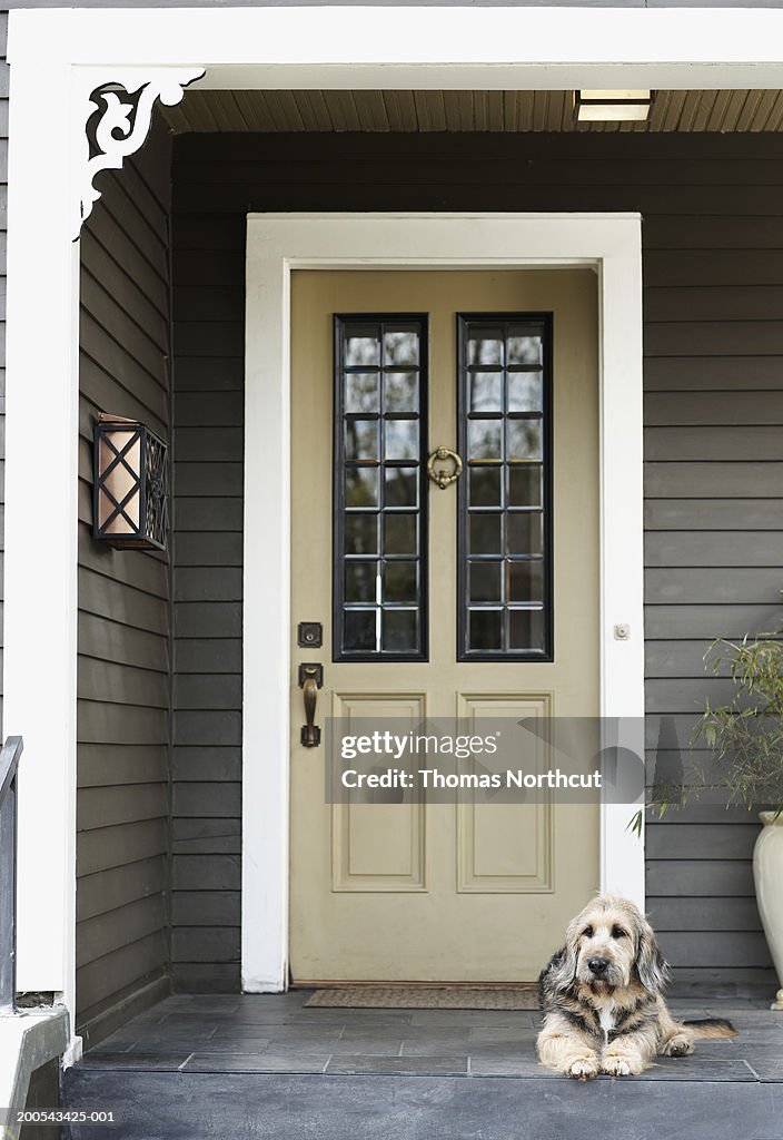 Dog lying on front porch