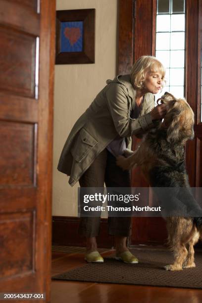 dog greeting mature woman in entryway of house, side view - dog greeting stock pictures, royalty-free photos & images