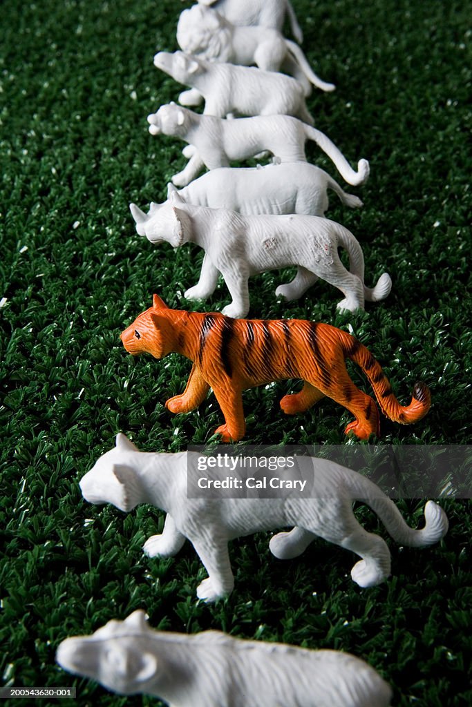 White plastic toy animals, one orange toy tiger, on astroturf