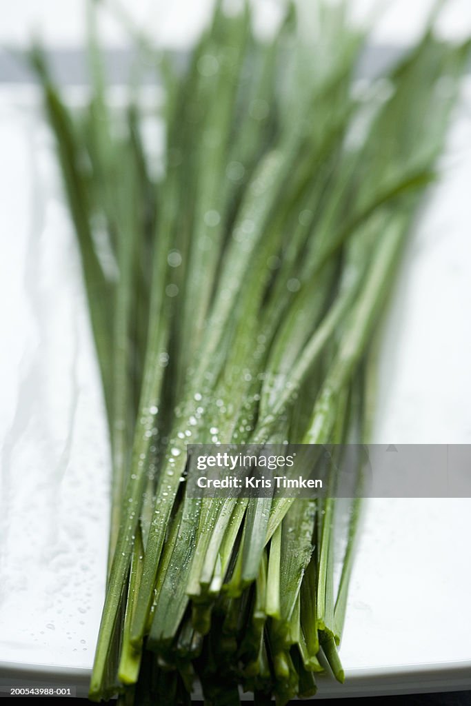 Herbs, elevated view